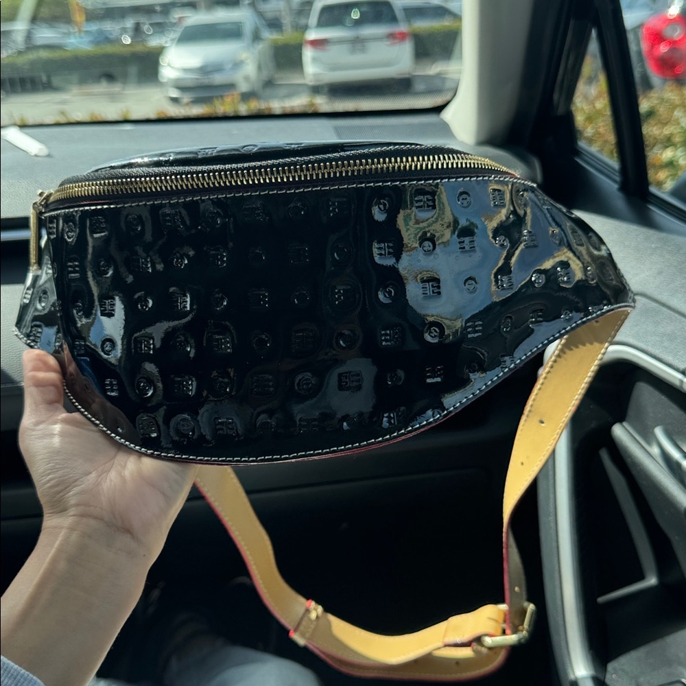 Arcadia belt bag/ crossbody
